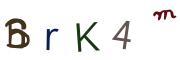 Obrázková CAPTCHA