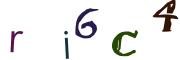 Obrázková CAPTCHA