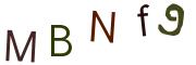 Obrázková CAPTCHA