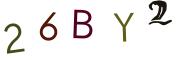 Obrázková CAPTCHA