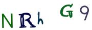 Obrázková CAPTCHA