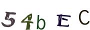 Obrázková CAPTCHA