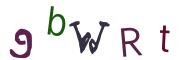Obrázková CAPTCHA