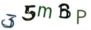 Obrázková CAPTCHA