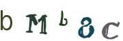 Obrázková CAPTCHA