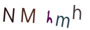 Obrázková CAPTCHA