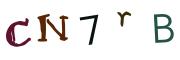Obrázková CAPTCHA