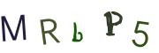 Obrázková CAPTCHA