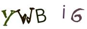 Obrázková CAPTCHA