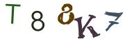 Obrázková CAPTCHA
