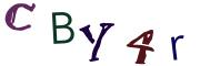 Obrázková CAPTCHA