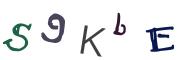 Obrázková CAPTCHA