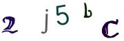 Obrázková CAPTCHA
