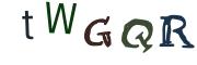 Obrázková CAPTCHA