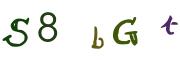Obrázková CAPTCHA