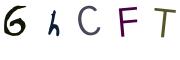 Obrázková CAPTCHA