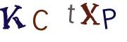 Obrázková CAPTCHA
