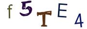Obrázková CAPTCHA