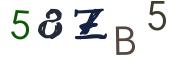 Obrázková CAPTCHA