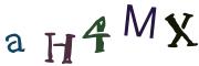 Obrázková CAPTCHA