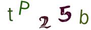 Obrázková CAPTCHA