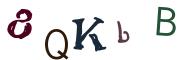 Obrázková CAPTCHA