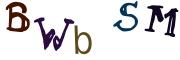Obrázková CAPTCHA
