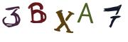 Obrázková CAPTCHA