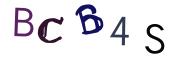 Obrázková CAPTCHA
