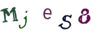Obrázková CAPTCHA