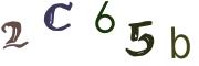 Obrázková CAPTCHA