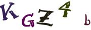 Obrázková CAPTCHA