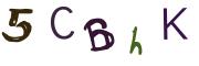 Obrázková CAPTCHA