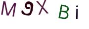 Obrázková CAPTCHA