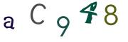 Obrázková CAPTCHA