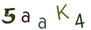 Obrázková CAPTCHA