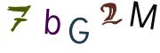 Obrázková CAPTCHA
