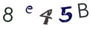 Obrázková CAPTCHA