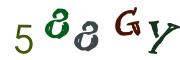 Obrázková CAPTCHA