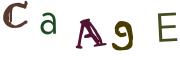 Obrázková CAPTCHA