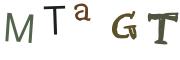 Obrázková CAPTCHA