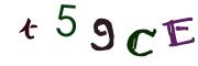 Obrázková CAPTCHA