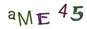 Obrázková CAPTCHA