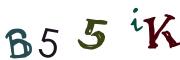 Obrázková CAPTCHA