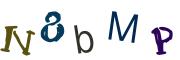 Obrázková CAPTCHA