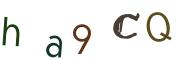 Obrázková CAPTCHA