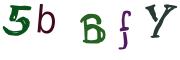 Obrázková CAPTCHA