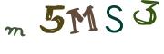 Obrázková CAPTCHA
