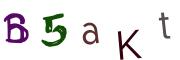 Obrázková CAPTCHA