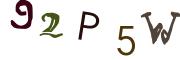 Obrázková CAPTCHA